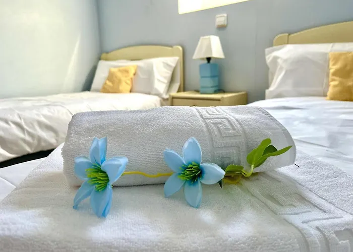 Donzella House By Gloove